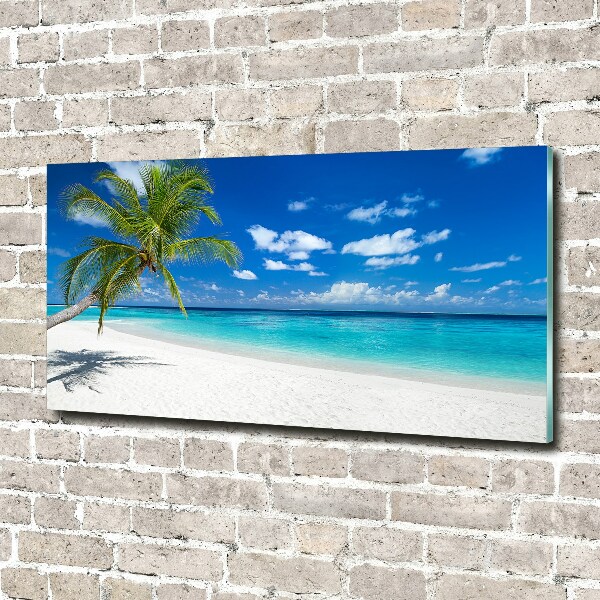 Quadro vetro Spiaggia tropicale