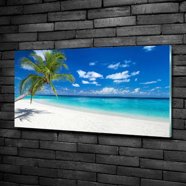 Quadro vetro Spiaggia tropicale