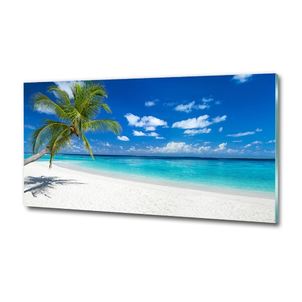 Quadro vetro Spiaggia tropicale