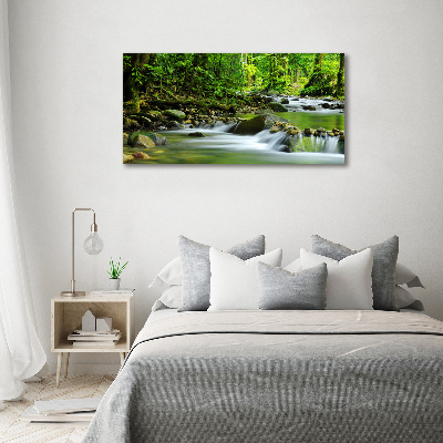 Quadro in verde Torrente di montagna