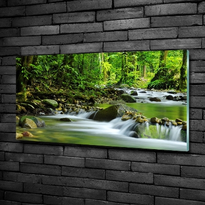 Quadro in verde Torrente di montagna