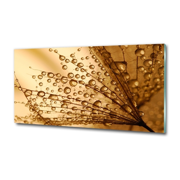 Quadro in verde Semi di tarassaco