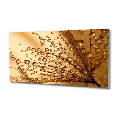 Quadro in verde Semi di tarassaco