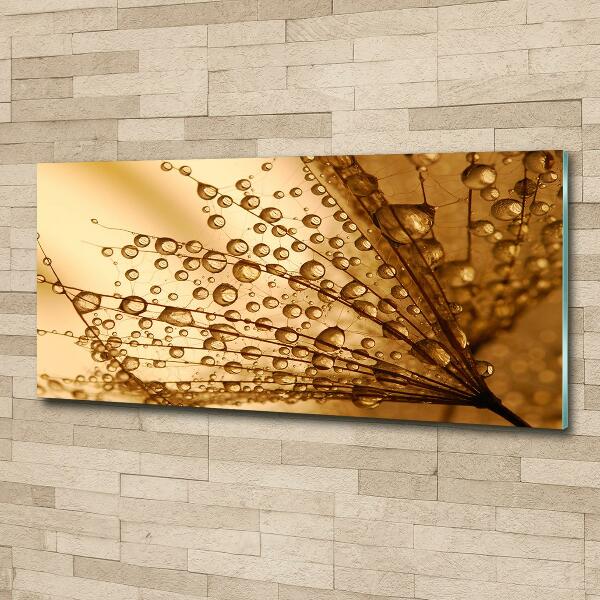 Quadro in verde Semi di tarassaco