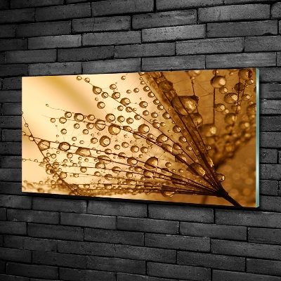 Quadro in verde Semi di tarassaco