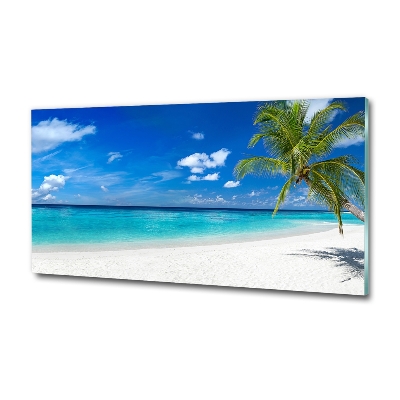 Quadro su vetro Spiaggia tropicale