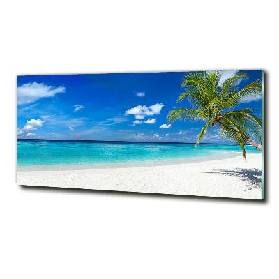 Quadro su vetro Spiaggia tropicale
