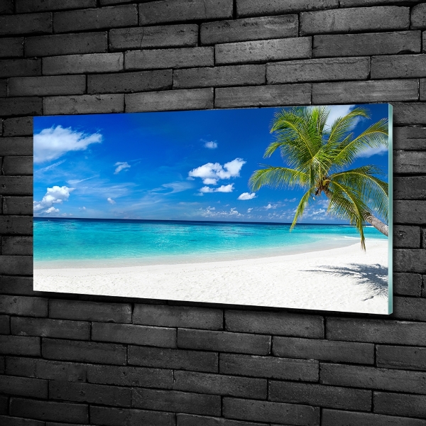 Quadro su vetro Spiaggia tropicale