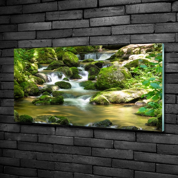 Quadro in verde Cascata