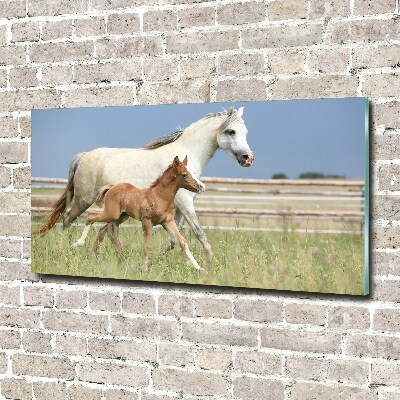 Quadro vetro Giumenta con puledro