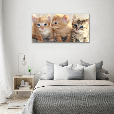 Quadro in vetro Gattini