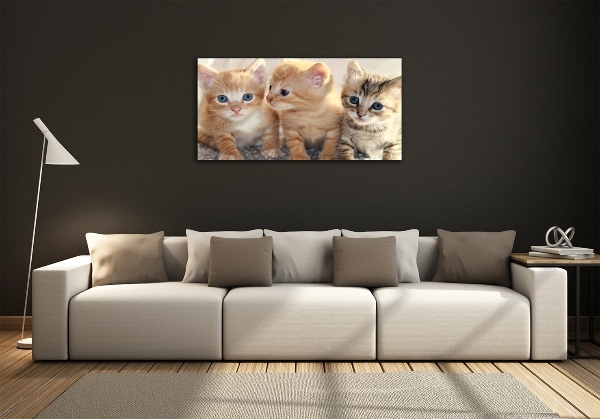 Quadro in vetro Gattini