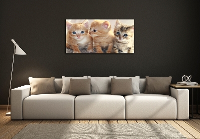 Quadro in vetro Gattini