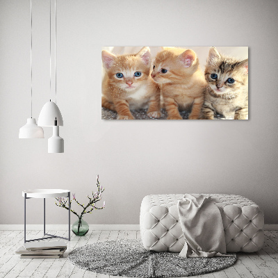 Quadro in vetro Gattini
