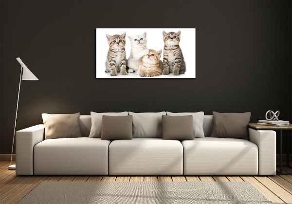 Quadro su vetro Gattini