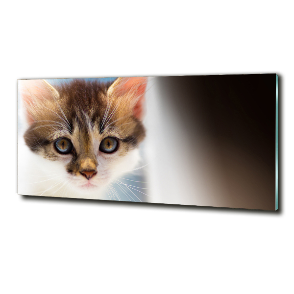 Quadro vetro Gattino