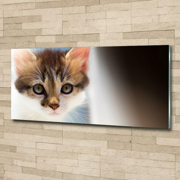 Quadro vetro Gattino