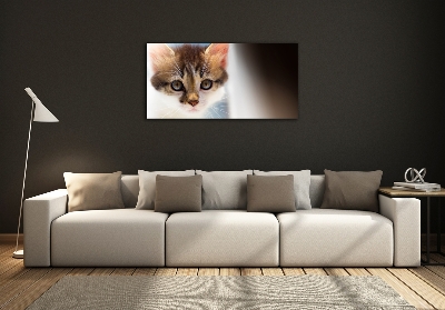 Quadro vetro Gattino