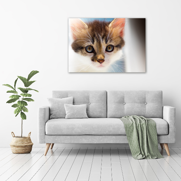 Quadro vetro Gattino