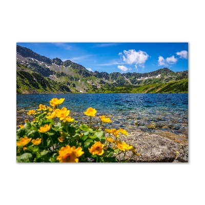 Quadro su vetro Lago tra le montagne