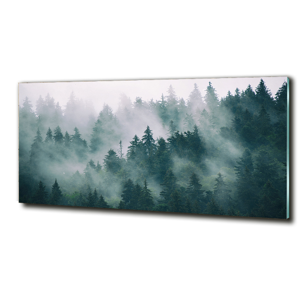 Quadro vetro Nebbia sulla foresta