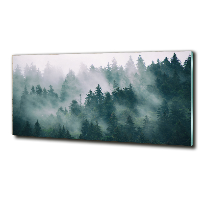 Quadro vetro Nebbia sulla foresta