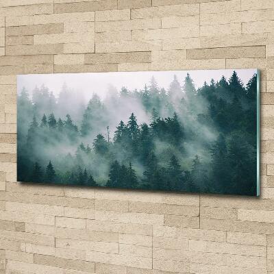 Quadro vetro Nebbia sulla foresta