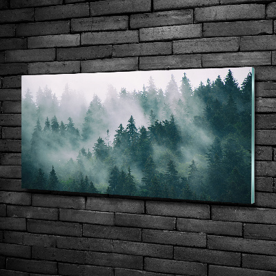 Quadro vetro Nebbia sulla foresta