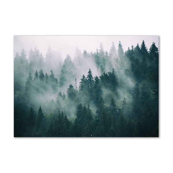 Quadro vetro Nebbia sulla foresta