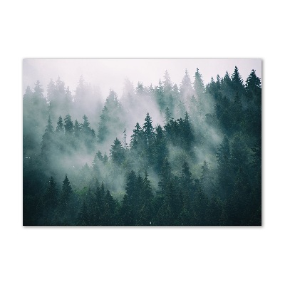 Quadro vetro Nebbia sulla foresta