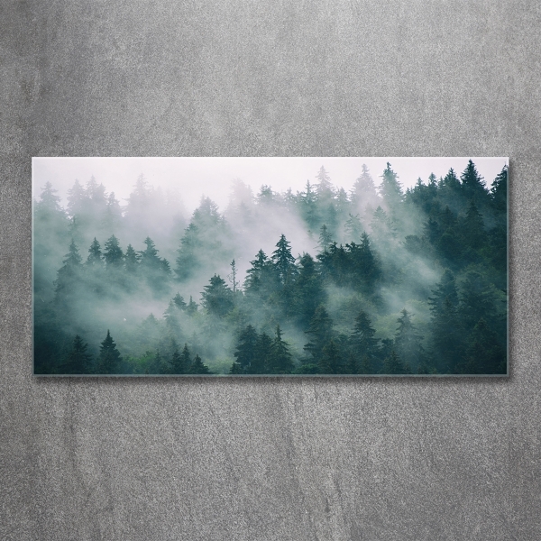Quadro vetro Nebbia sulla foresta