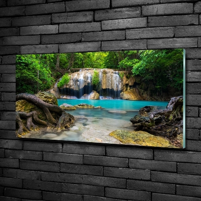 Quadro su vetro Cascata nella foresta