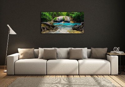 Quadro su vetro Cascata nella foresta