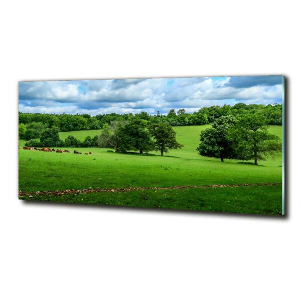 Quadro vetro Colline verdi