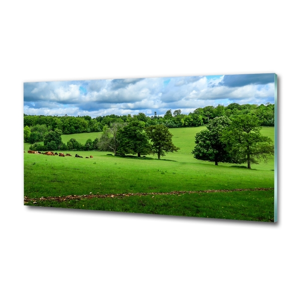 Quadro vetro Colline verdi