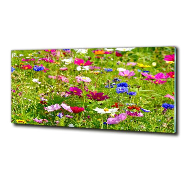 Quadro vetro Fiori selvatici