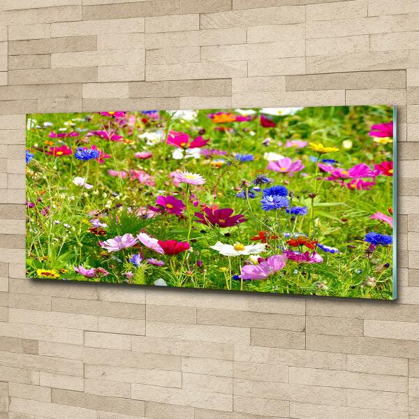 Quadro vetro Fiori selvatici