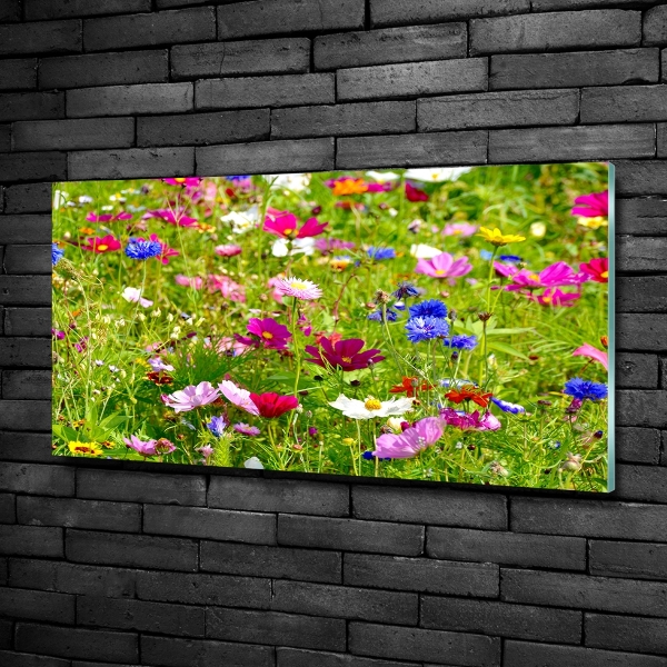 Quadro vetro Fiori selvatici