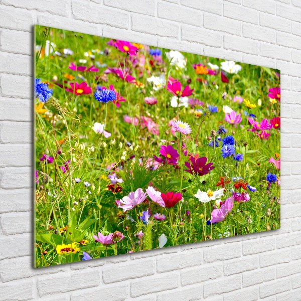 Quadro vetro Fiori selvatici