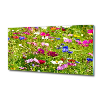 Quadro vetro Fiori selvatici