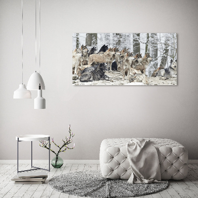 Quadro su vetro Lupi in inverno