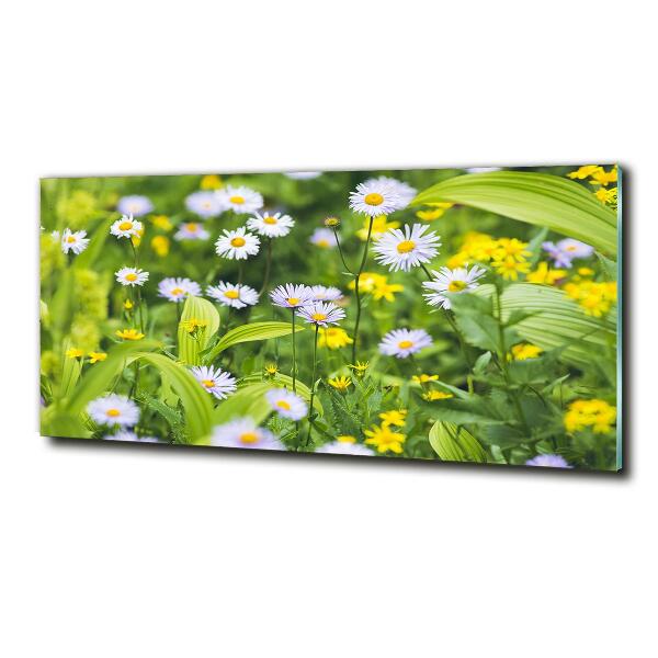 Quadro in verde Margherite