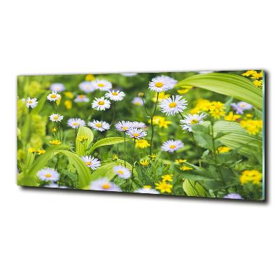 Quadro in verde Margherite