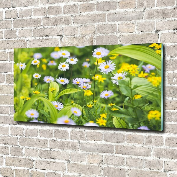 Quadro in verde Margherite