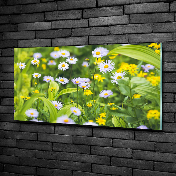 Quadro in verde Margherite