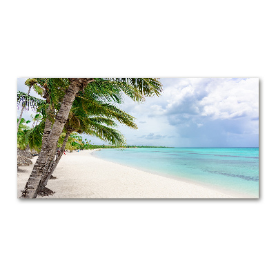 Quadro su vetro Spiaggia tropicale
