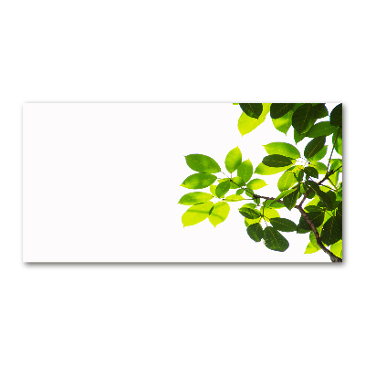 Quadro su vetro Foglie