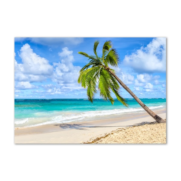 Quadro vetro Spiaggia tropicale