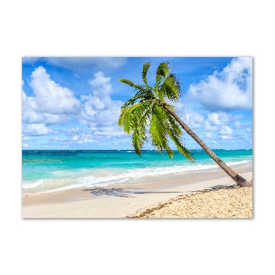 Quadro vetro Spiaggia tropicale
