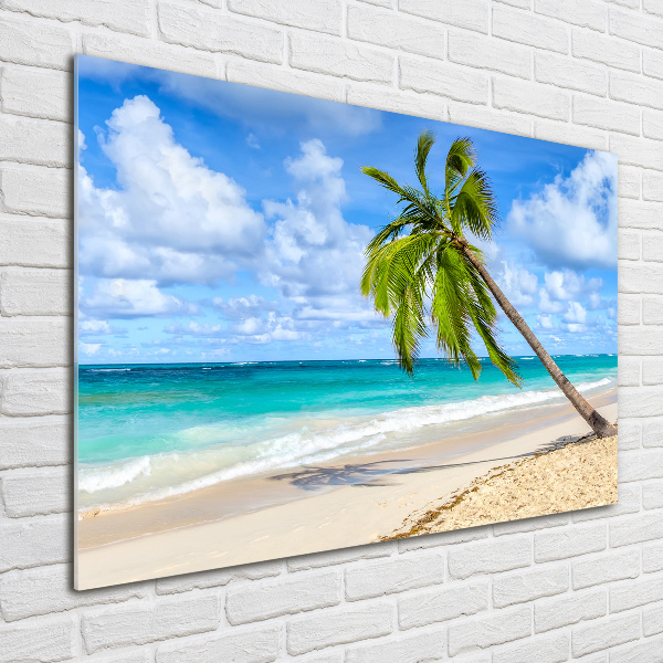 Quadro vetro Spiaggia tropicale